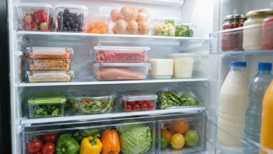 Quanto tempo os alimentos duram na geladeira? Veja prazos para arroz, feijão, carnes, leite, ovos e dicas para conservar melhor.
