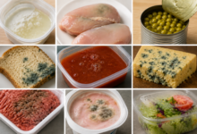 como saber se um alimento estragou